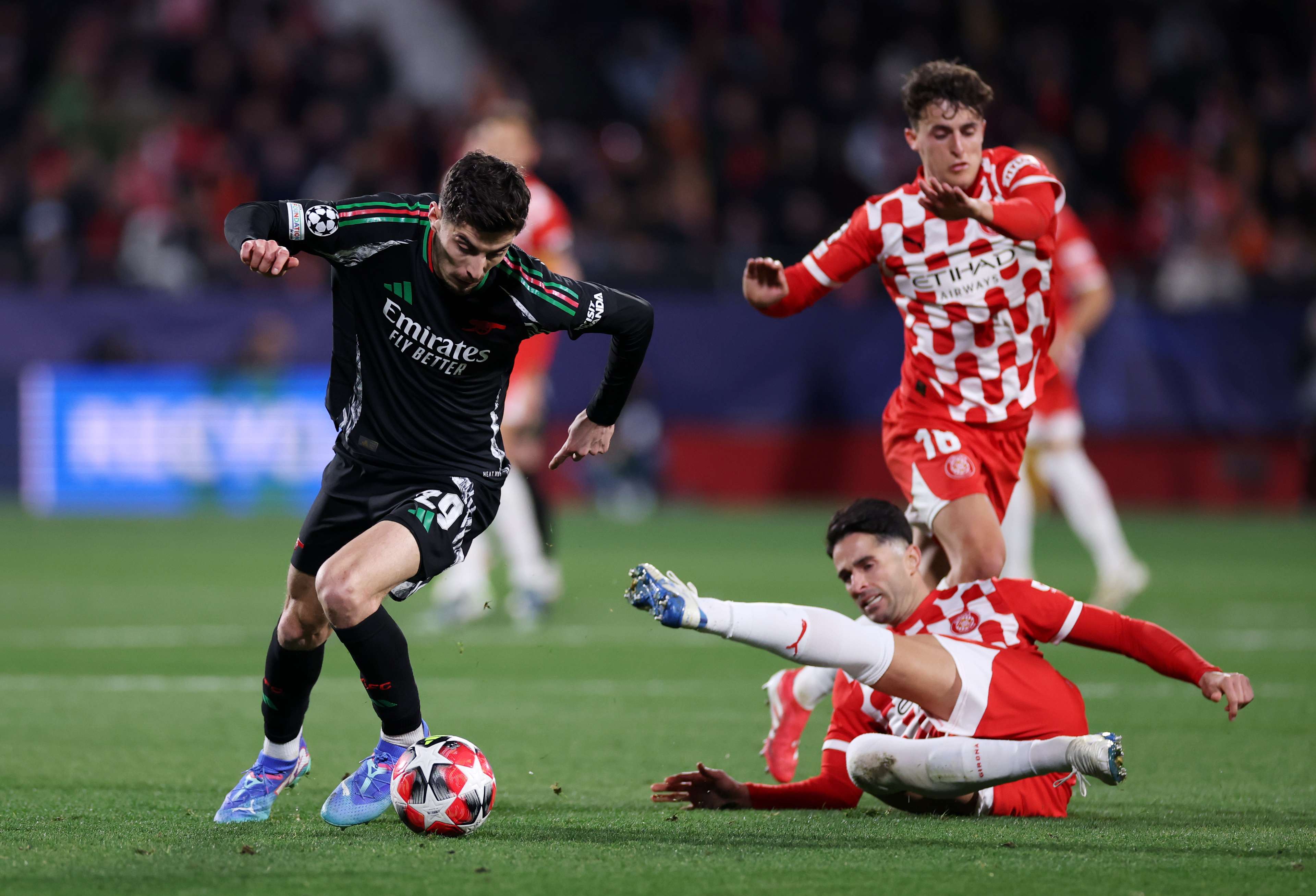 性與新星崛 性與新星崛